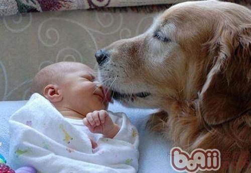 Accurate Center for getting along with mothers and pets